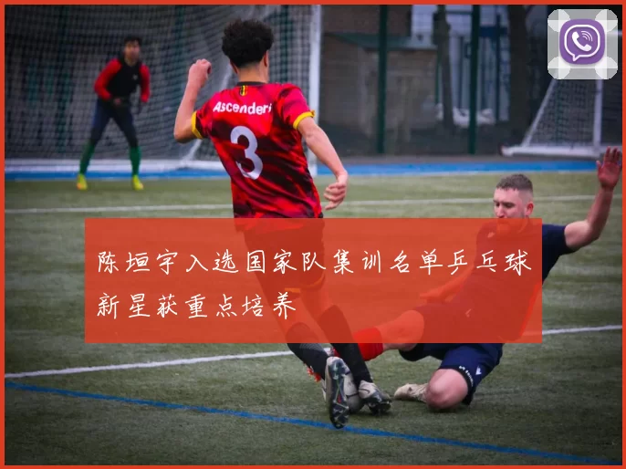 陈垣宇入选国家队集训名单乒乓球新星获重点培养