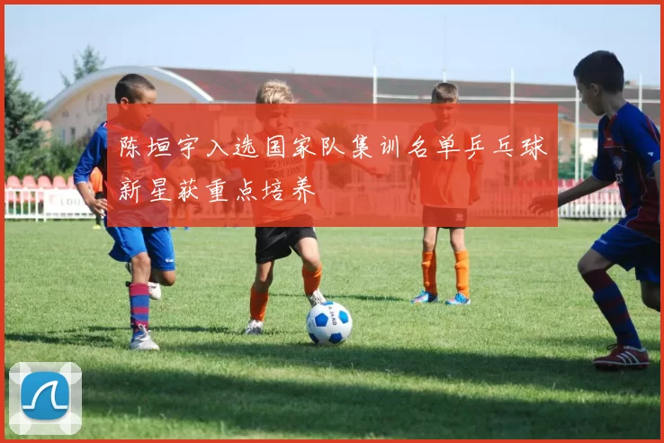 陈垣宇入选国家队集训名单乒乓球新星获重点培养