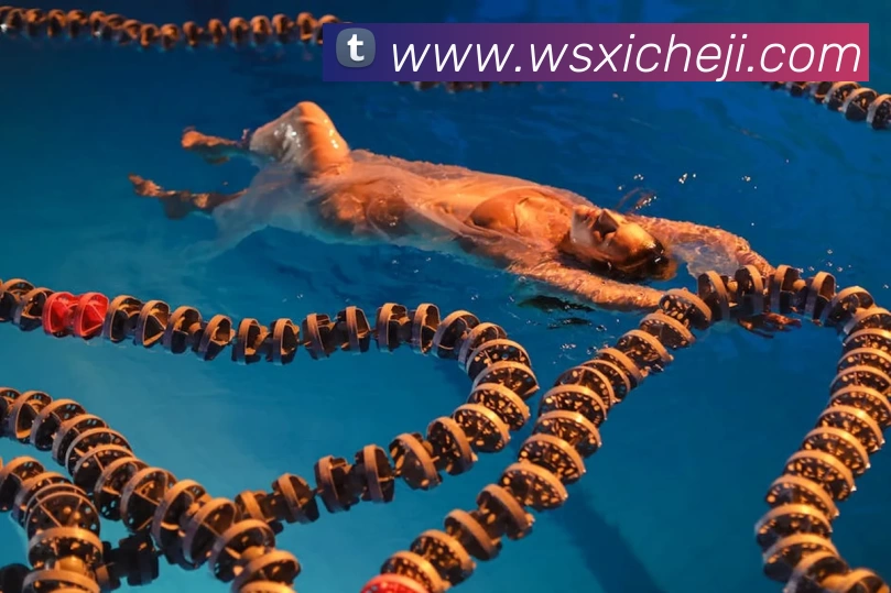 米兰app登录入口 - 官方版本安装APP 封面图